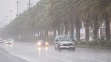 طقس الغد يشهد انخفاض درجات الحرارة مع ظهور سحب منخفضة في الأجواء